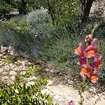 Dvori Dida Mile Villa Sveti Petar (Zadar)
