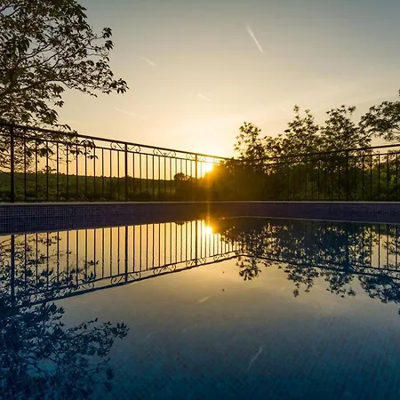 Dvori Dida Mile Villa *