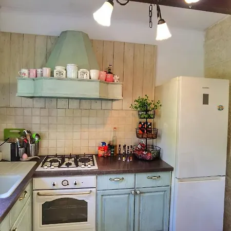 Dvori Dida Mile Villa *