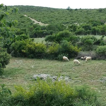 Villa Dvori Dida Mile *