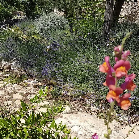 Dvori Dida Mile Villa Sveti Petar (Zadar)