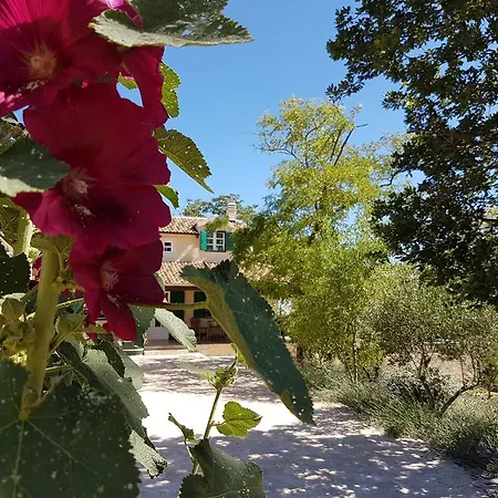 Villa Dvori Dida Mile *