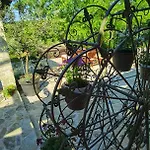 Dvori Dida Mile * Sveti Petar (Zadar)