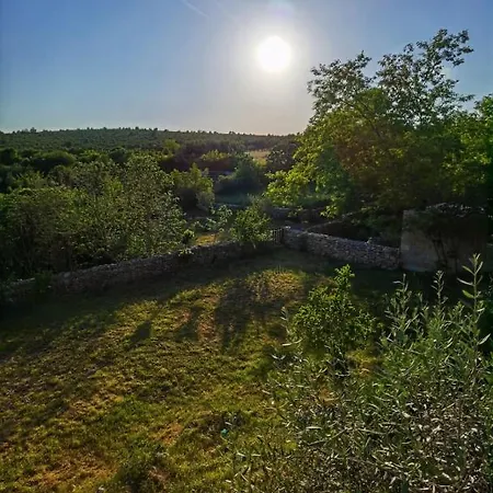 Dvori Dida Mile *