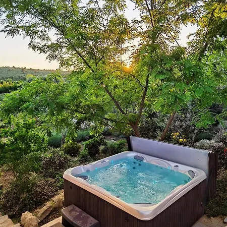 Vila Dvori Dida Mile *