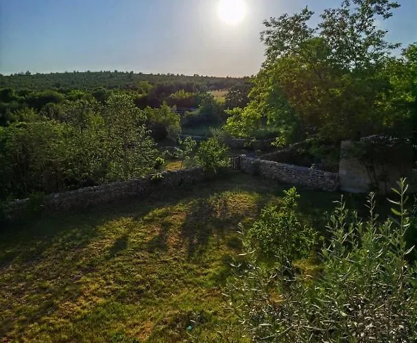 Dvori Dida Mile *